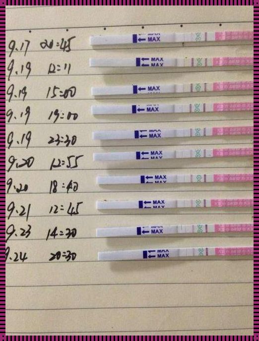 怀孕了还排不排卵，揭秘孕期生理奥秘