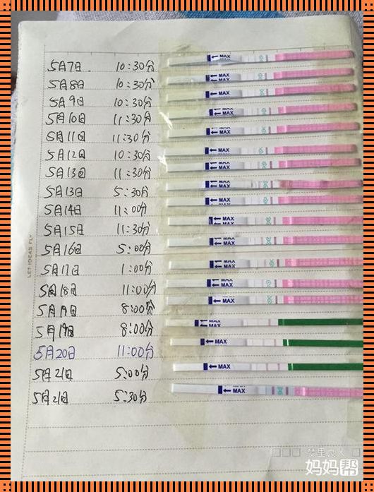 月经过后就排卵正常吗