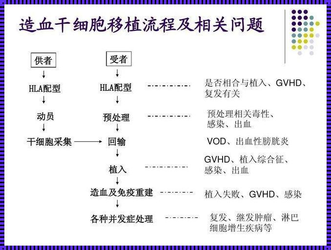 外周血造血干细胞移植：重燃生命之火